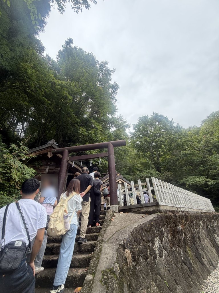 深い森の中、鳥居をくぐって石段を上り社殿へ向かう参拝者の列